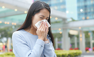 花粉症・アレルギー